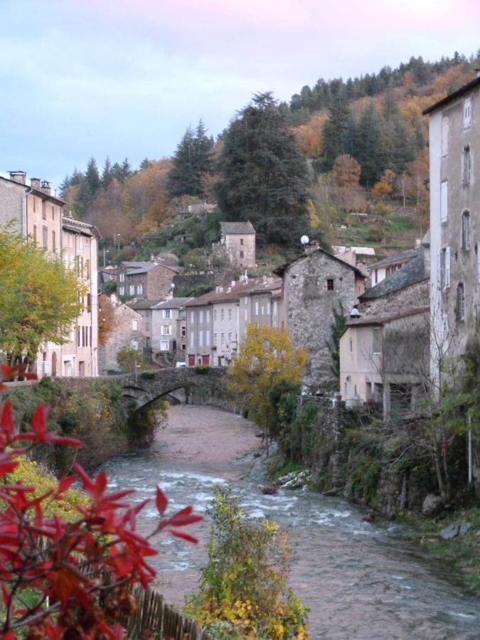 Cocon Des Cevennes - Pierre De Lune Saint-André-de-Valborgne Exterior photo